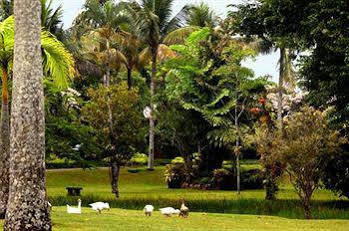 Resort Do Bosque Eco
