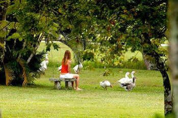Resort Do Bosque Eco 3*